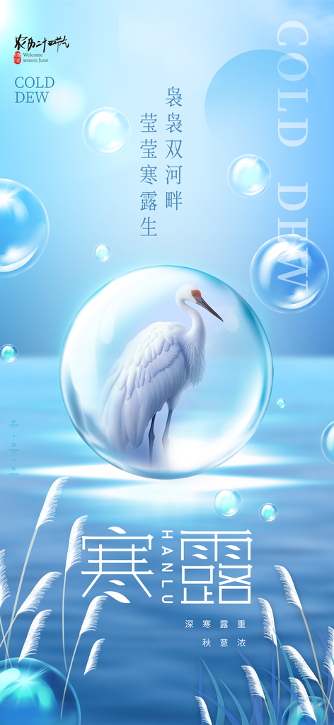 寒露节气海报设计素材