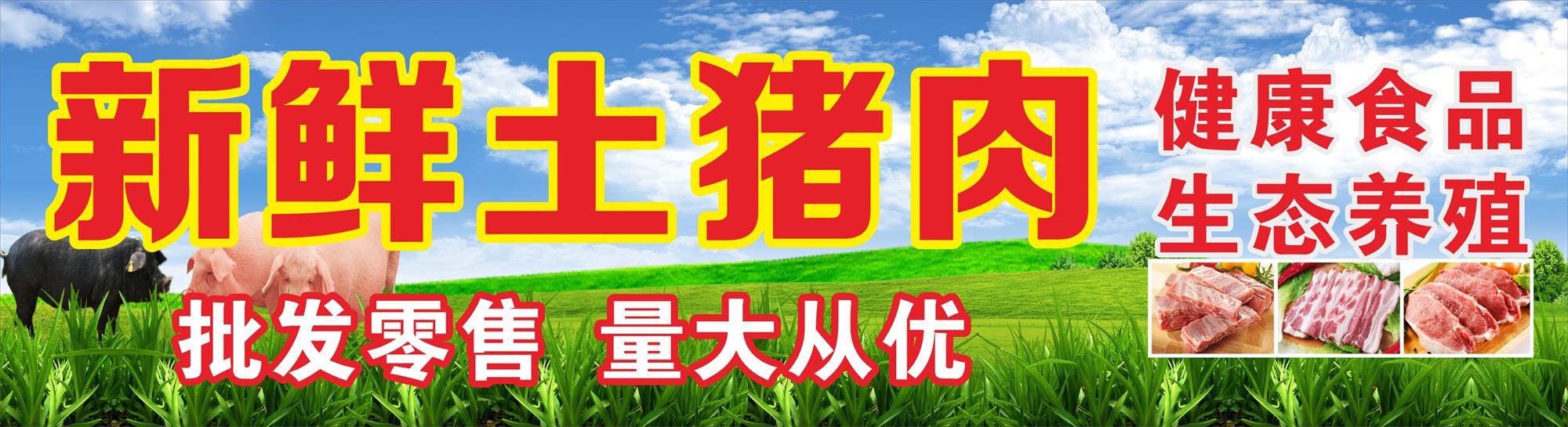土猪肉美食海报展板素材