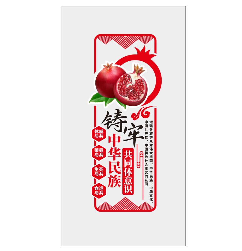 民族团结石榴籽精神共同体意识党建文化墙