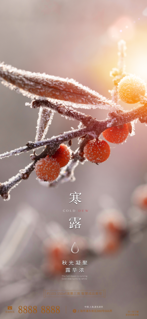 寒露海报设计素材
