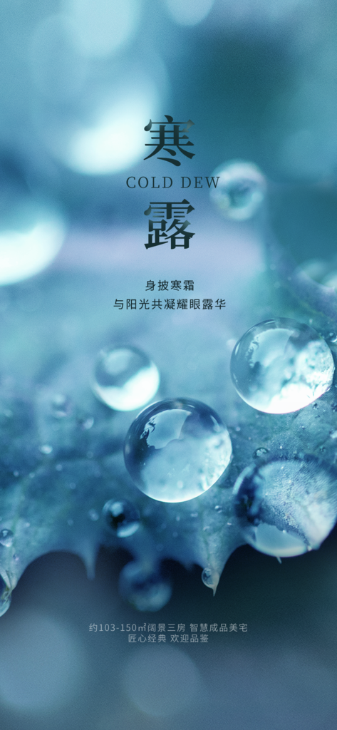 寒露海报设计素材