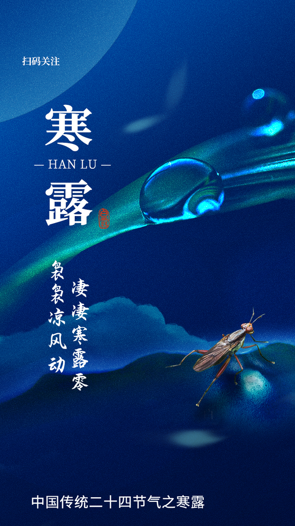 寒露海报模板素材