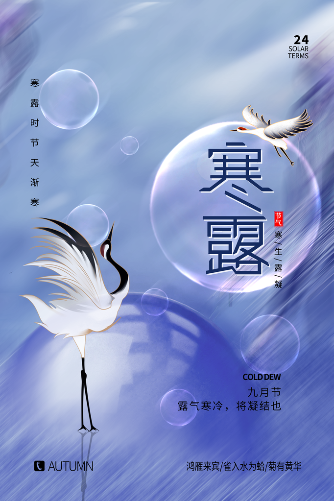 韩丽二十四节气海报设计模板