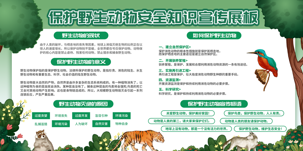 国际生物多样性日保护生态保护野生动物海报