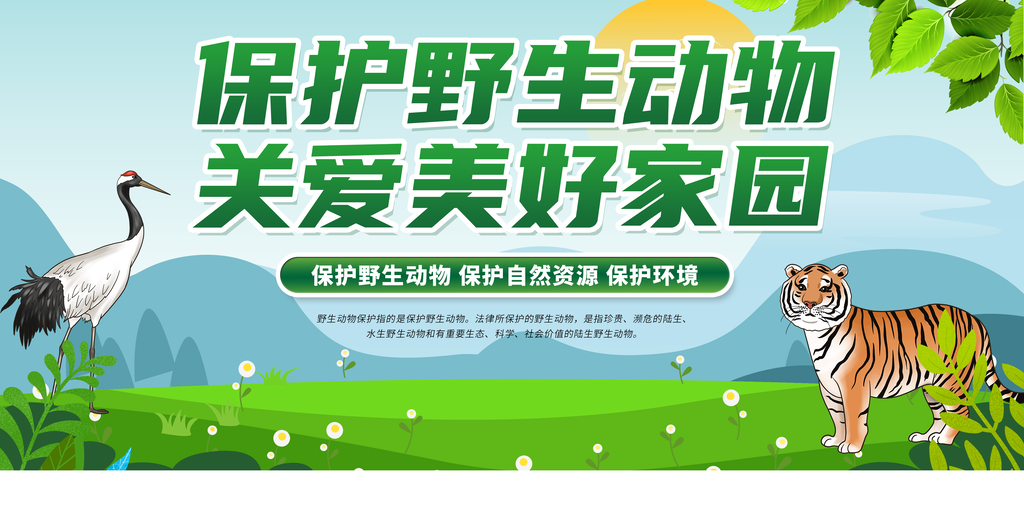 国际生物多样性日保护生态保护野生动物海报