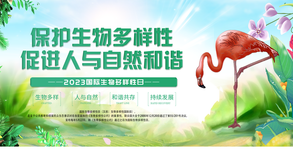 国际生物多样性日保护生态保护动物海报