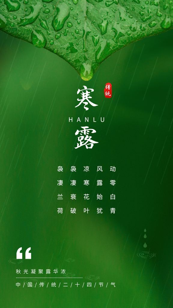 寒露海报设计模板