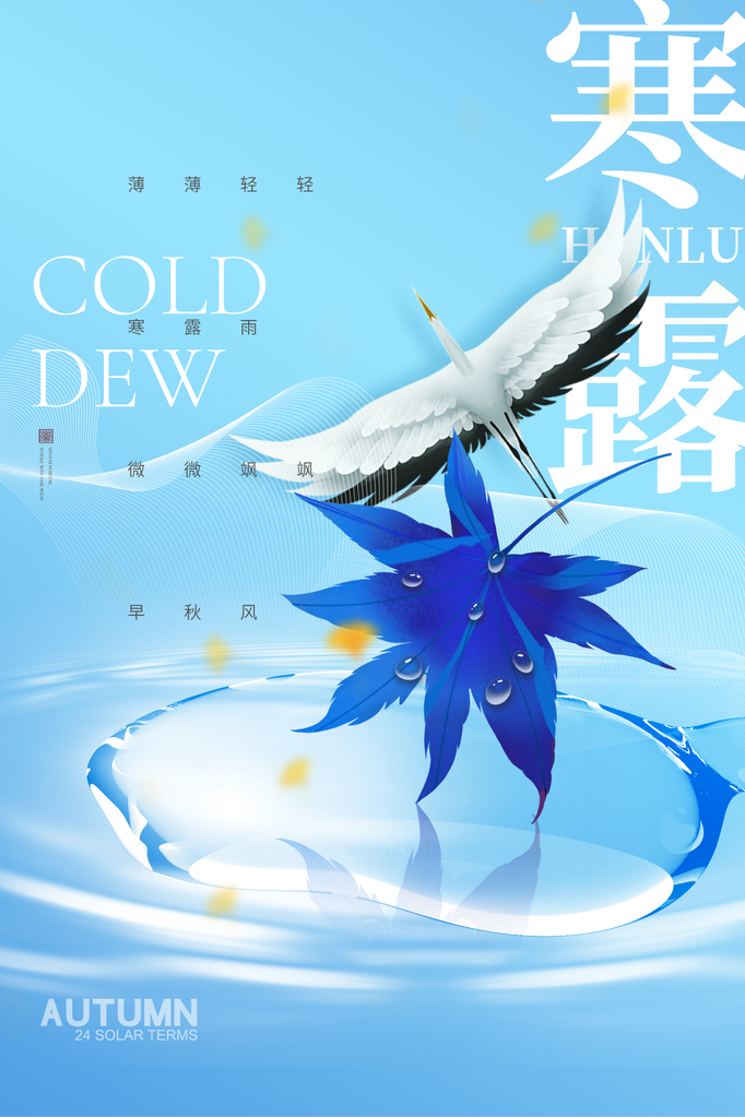 寒露二十四节气海报