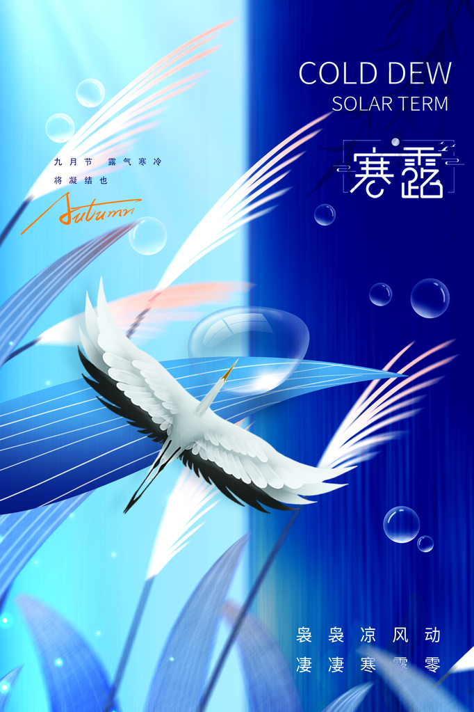 寒露二十四节气海报