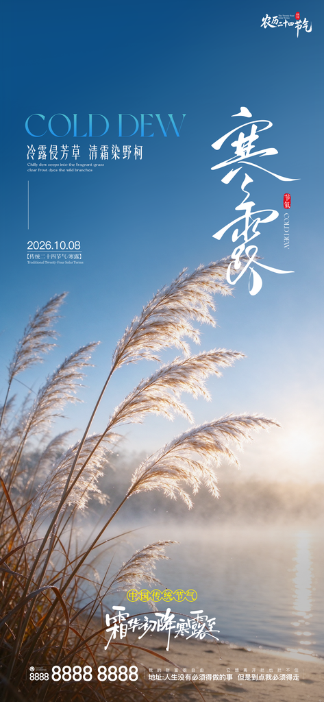 寒露二十四小时创意宣传海报
