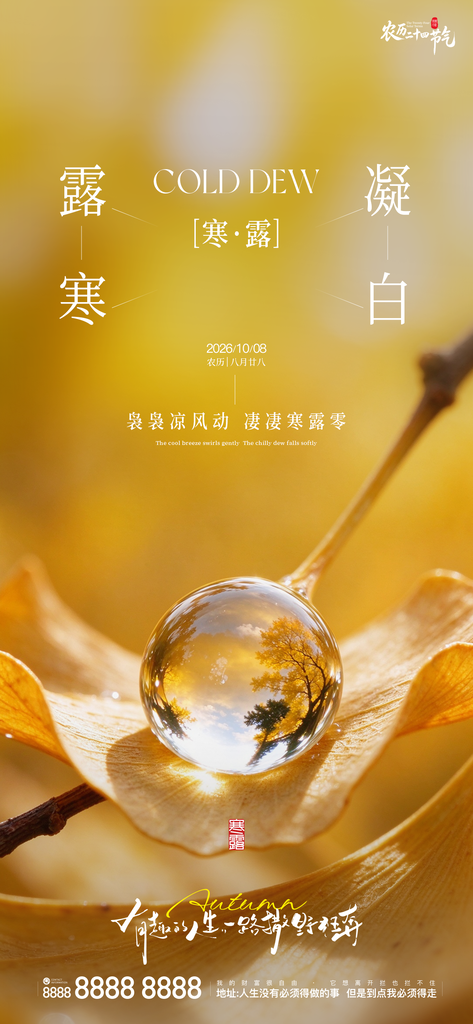 寒露节气创意宣传海报