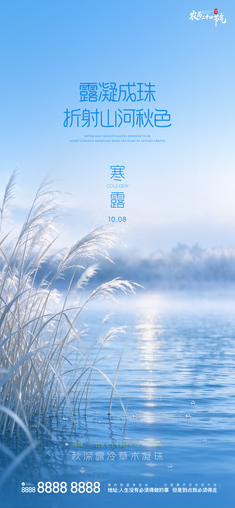 寒露节气创意宣传海报
