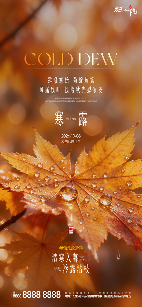 寒露节气创意宣传海报
