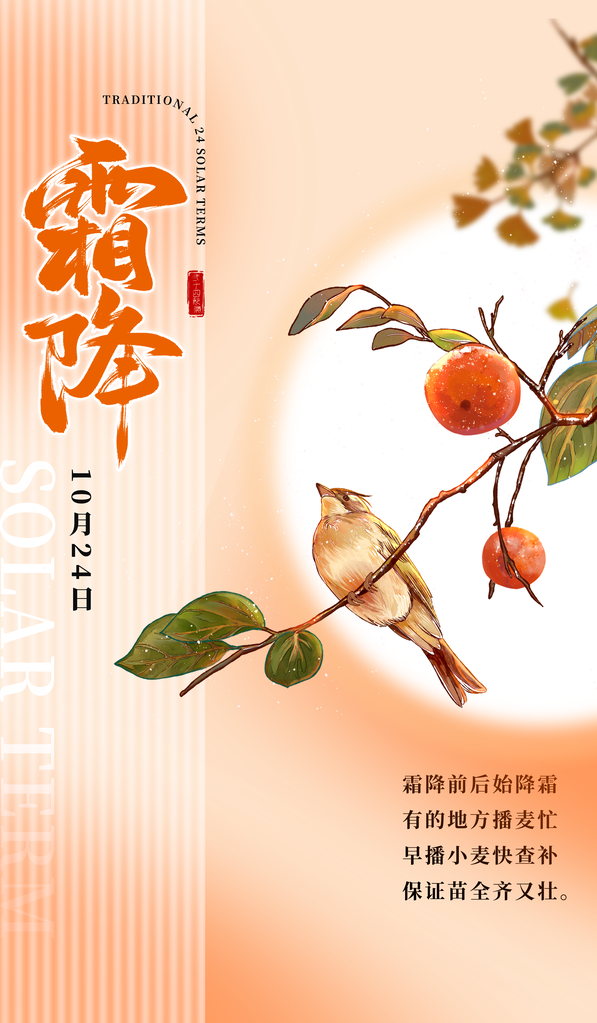 霜降节气海报设计素材