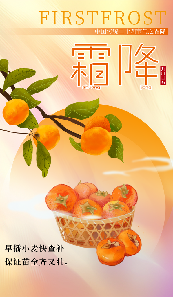 霜降节气海报设计素材