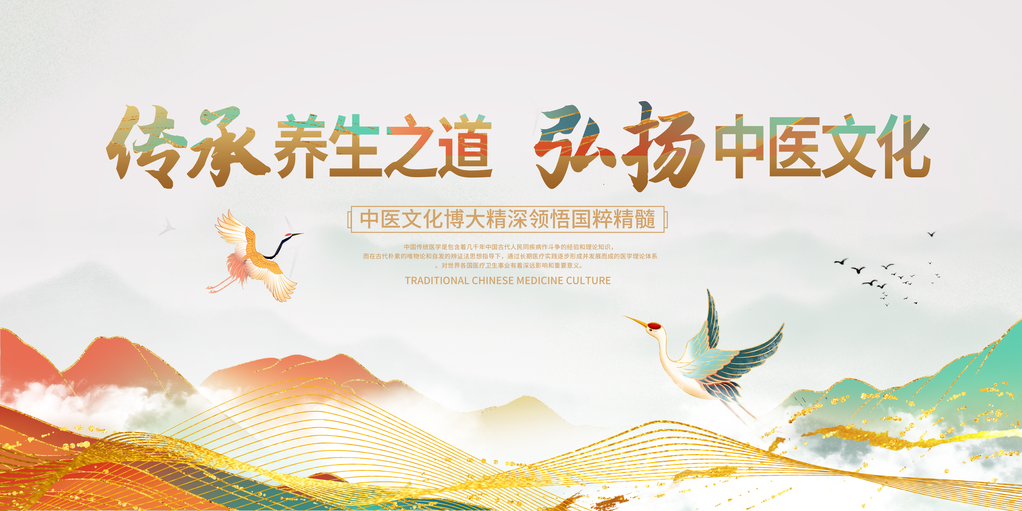 中医文化非遗文化艺术展展板海报设计