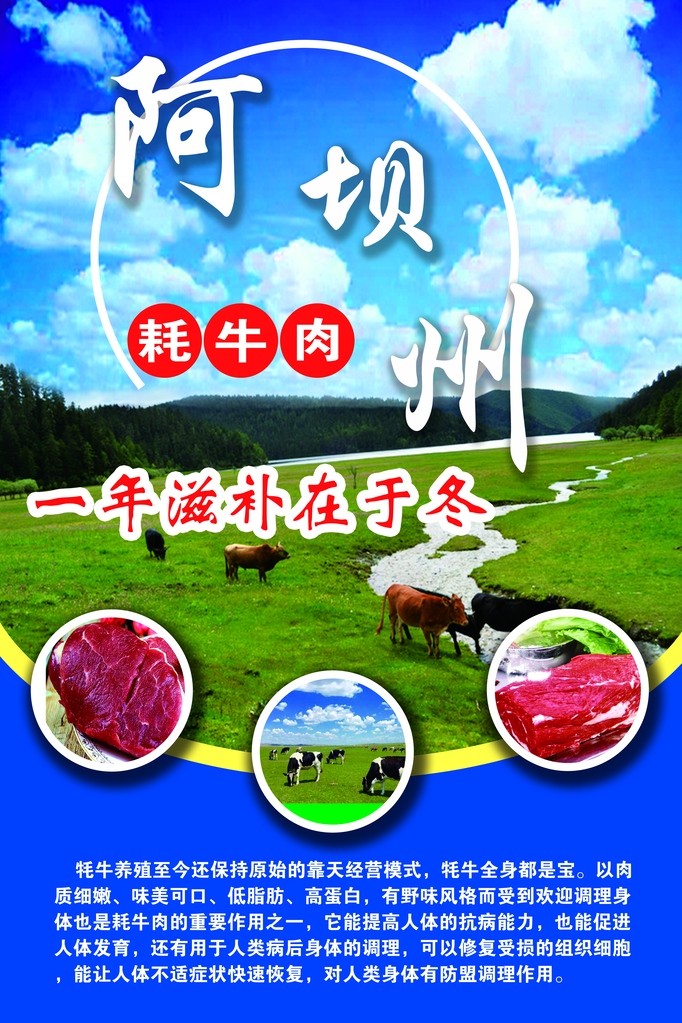 牛肉耗牛肉阿坝州美食海报宣传