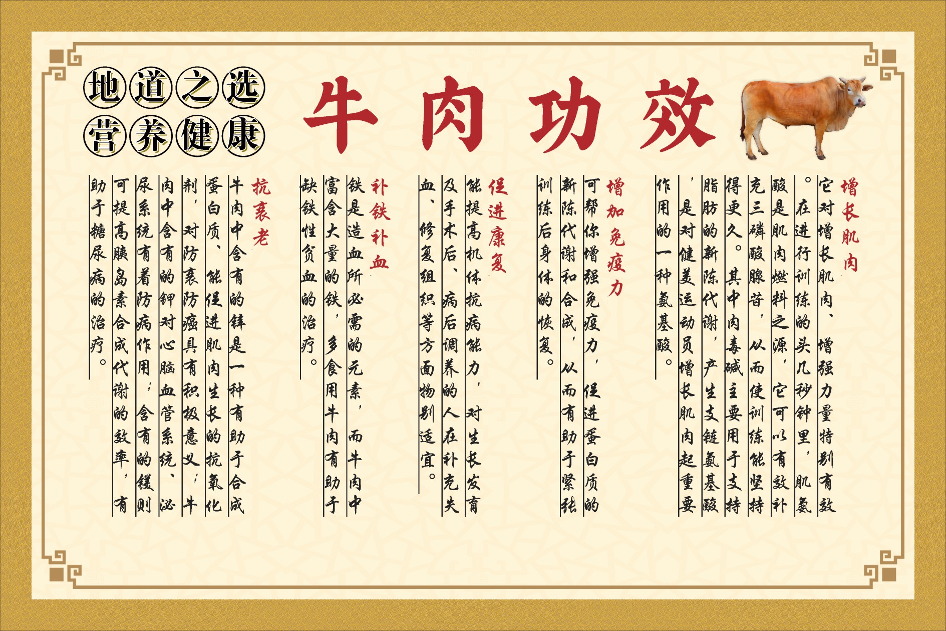 牛肉功效宣传海报展板