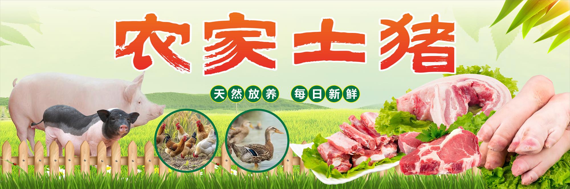 农家土猪肉美食海报展板