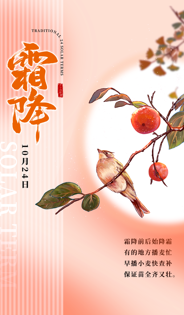 霜降海报设计模版