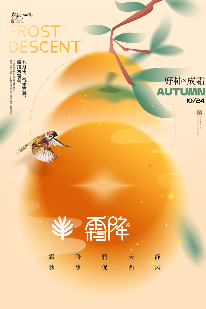 霜降海报设计模版