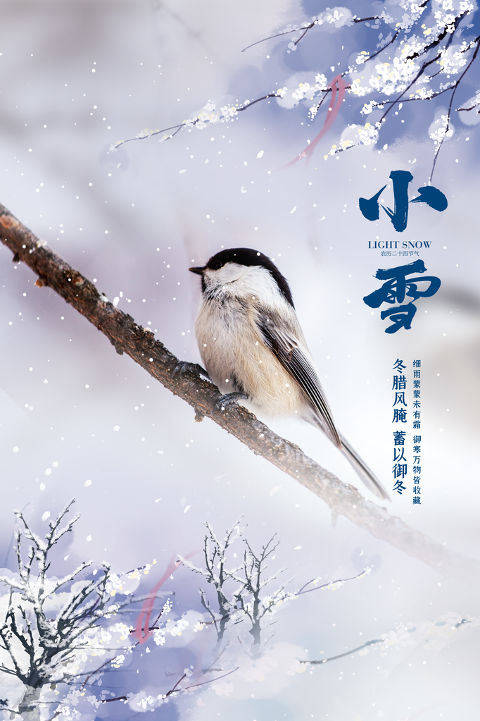 小雪冬季蓝色活动海报