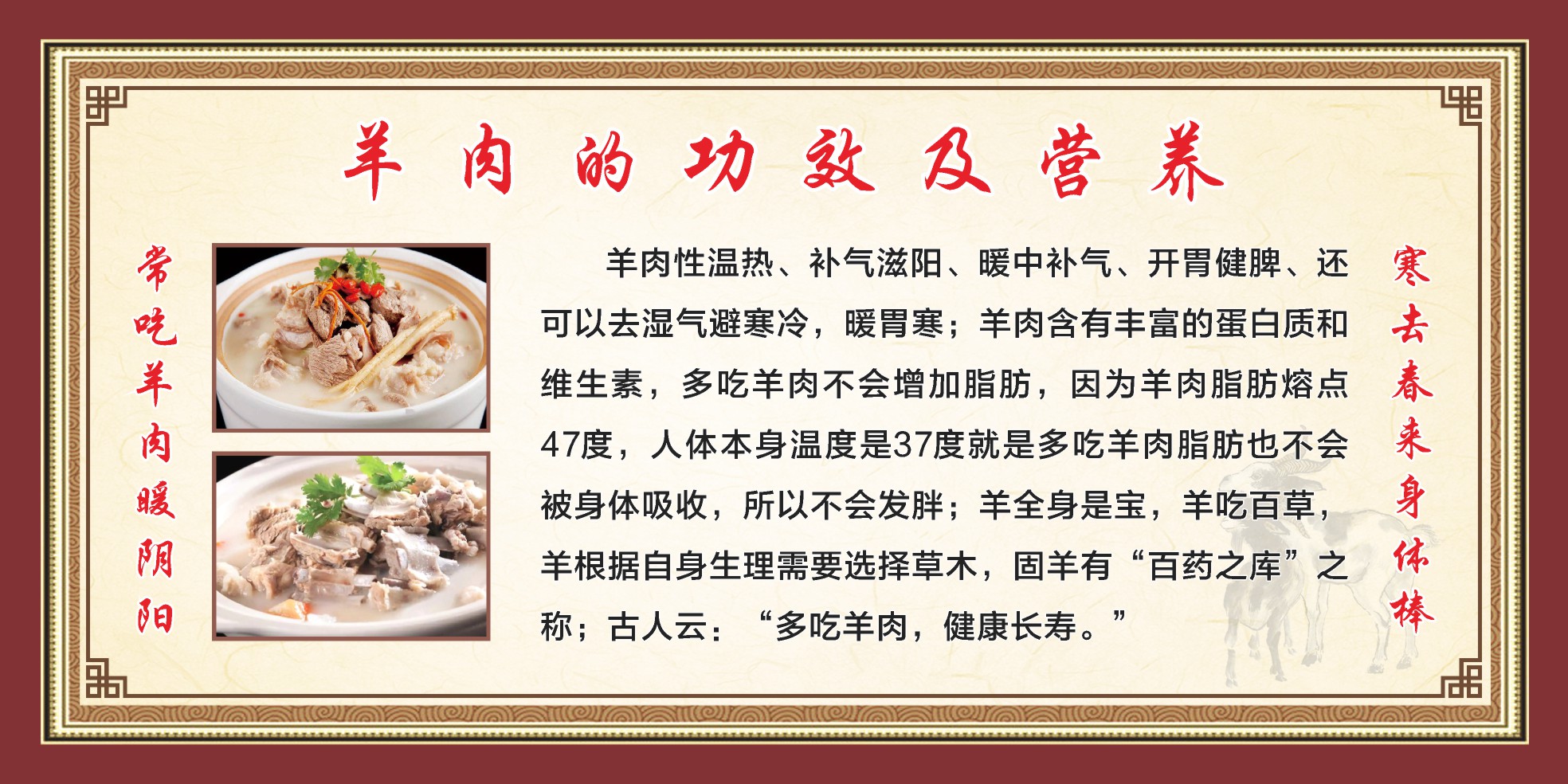 羊肉的功效营养宣传海报展板